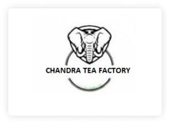 chandra-tea-factory
